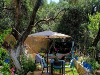 Mantzaros Traditional House