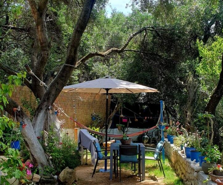 Mantzaros Traditional House